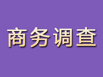 雁峰商务调查